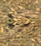 Lace Headband - Stretchy Fit, Beautiful Design