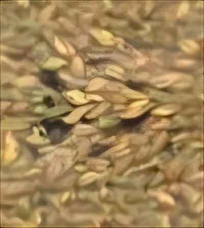 Lace Headband - Stretchy Fit, Beautiful Design