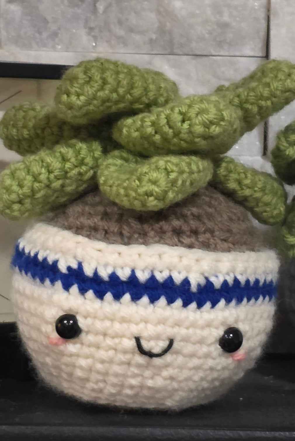 Crochet House Plants - Cute Amigurumi Plants - No Water Necessary!