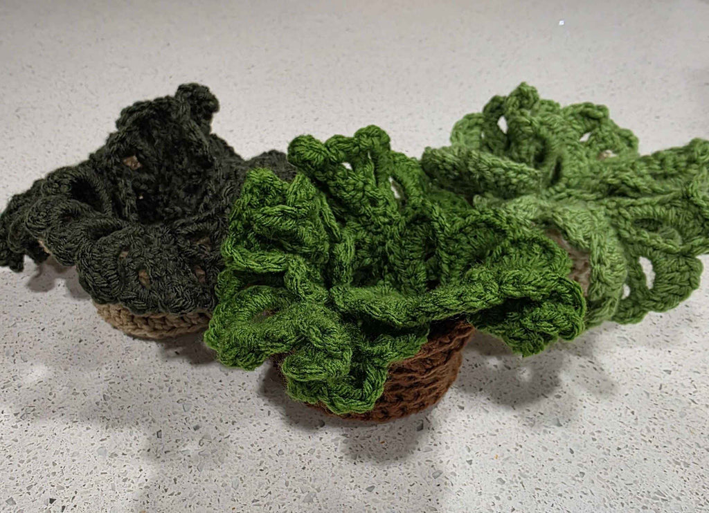 Monstera deliciosa Drink Coasters - Customizable Leaves & Pot Colors!