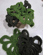 Monstera deliciosa Drink Coasters - Customizable Leaves & Pot Colors!