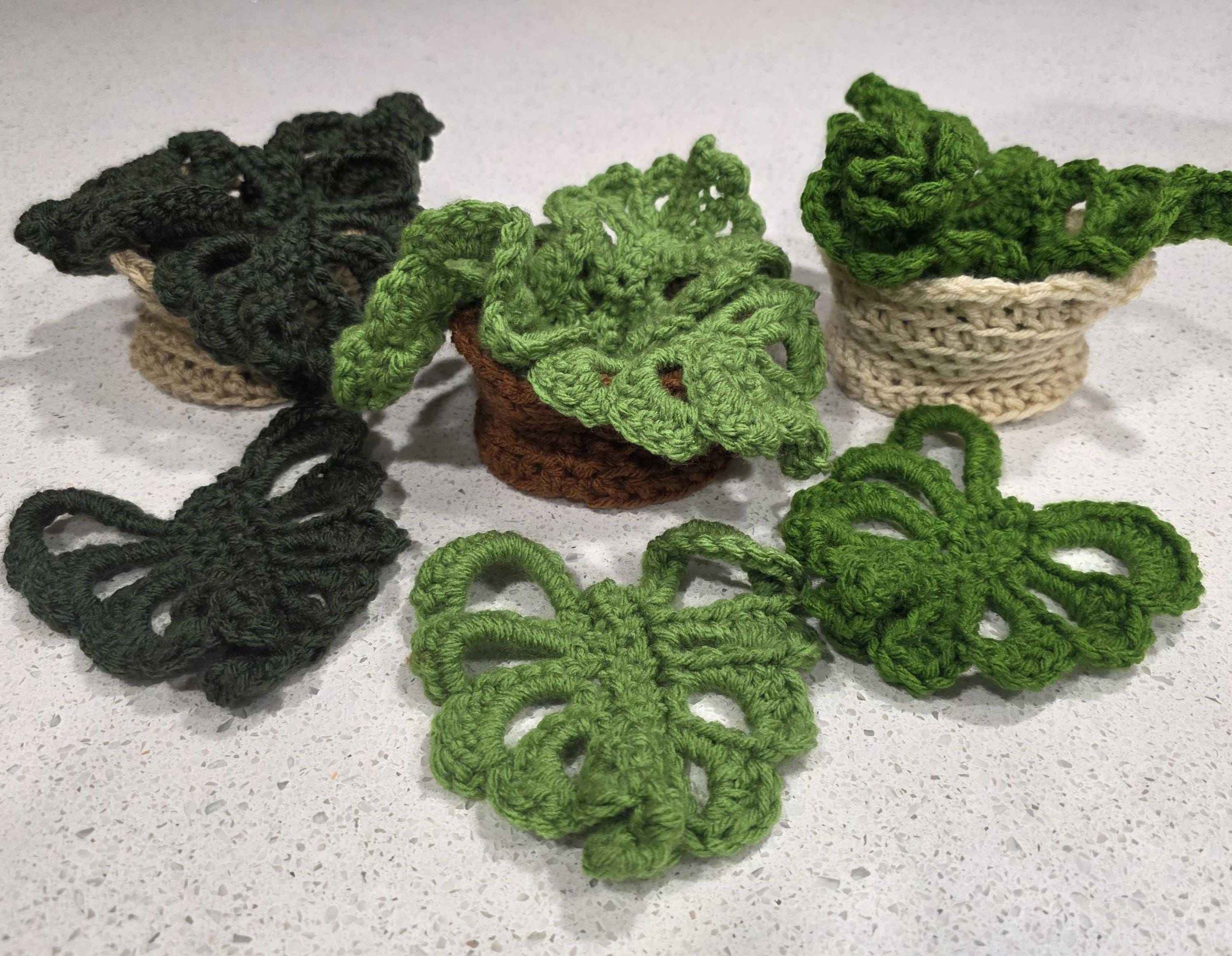 Monstera deliciosa Drink Coasters - Customizable Leaves & Pot Colors!