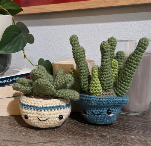 Two crocheted succulent plants with smiling faces on a wooden surface.