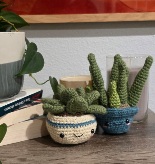 Two knitted succulent plants in pots on a wooden surface with a plant and books in the background.