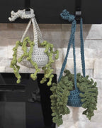 Crochet House Plants - Cute Amigurumi Plants - No Water Necessary!