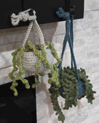 Crochet House Plants - Cute Amigurumi Plants - No Water Necessary!