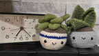 Crochet House Plants - Cute Amigurumi Plants - No Water Necessary!