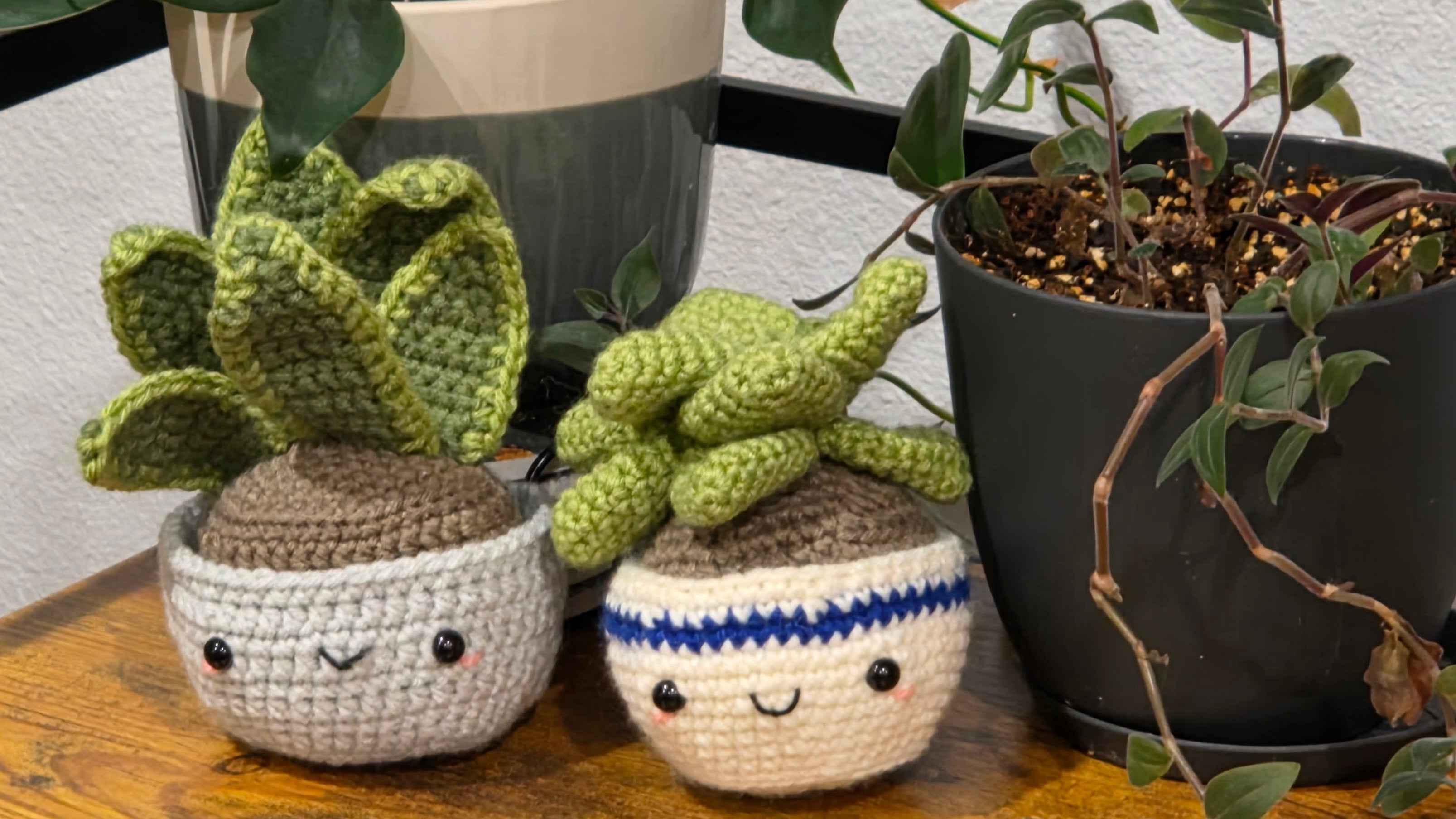 Crochet House Plants - Cute Amigurumi Plants - No Water Necessary!