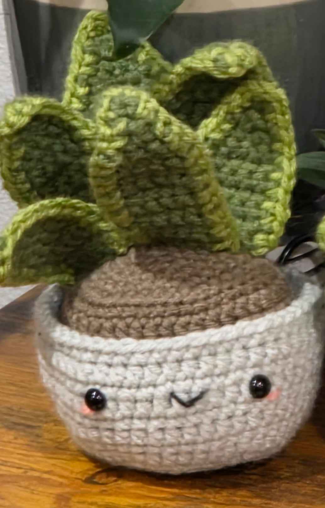 Crochet House Plants - Cute Amigurumi Plants - No Water Necessary!