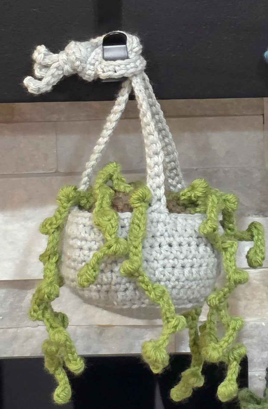 Crochet House Plants - Cute Amigurumi Plants - No Water Necessary!
