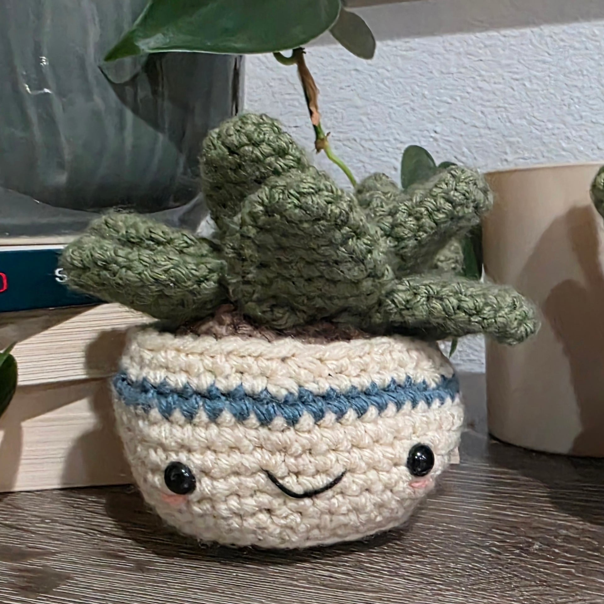 Crochet Amigurumi House Plants