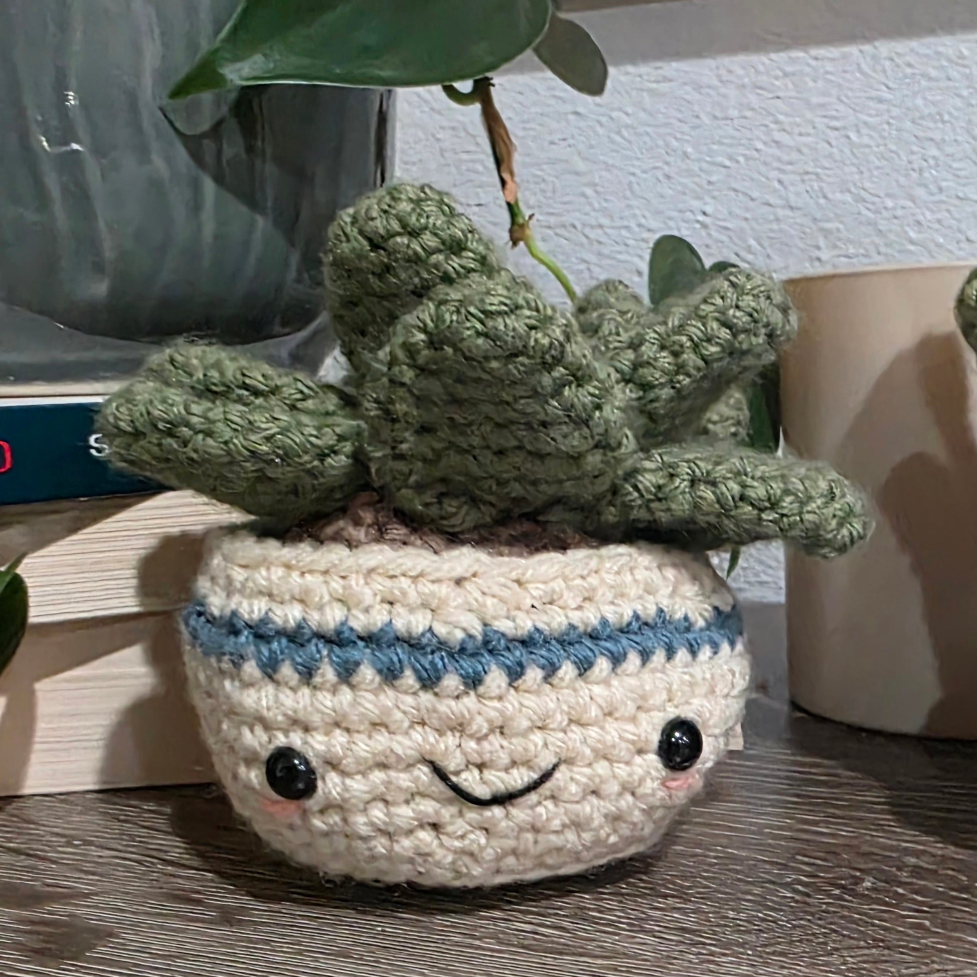 Crocheted pot with a small plant on a wooden surface