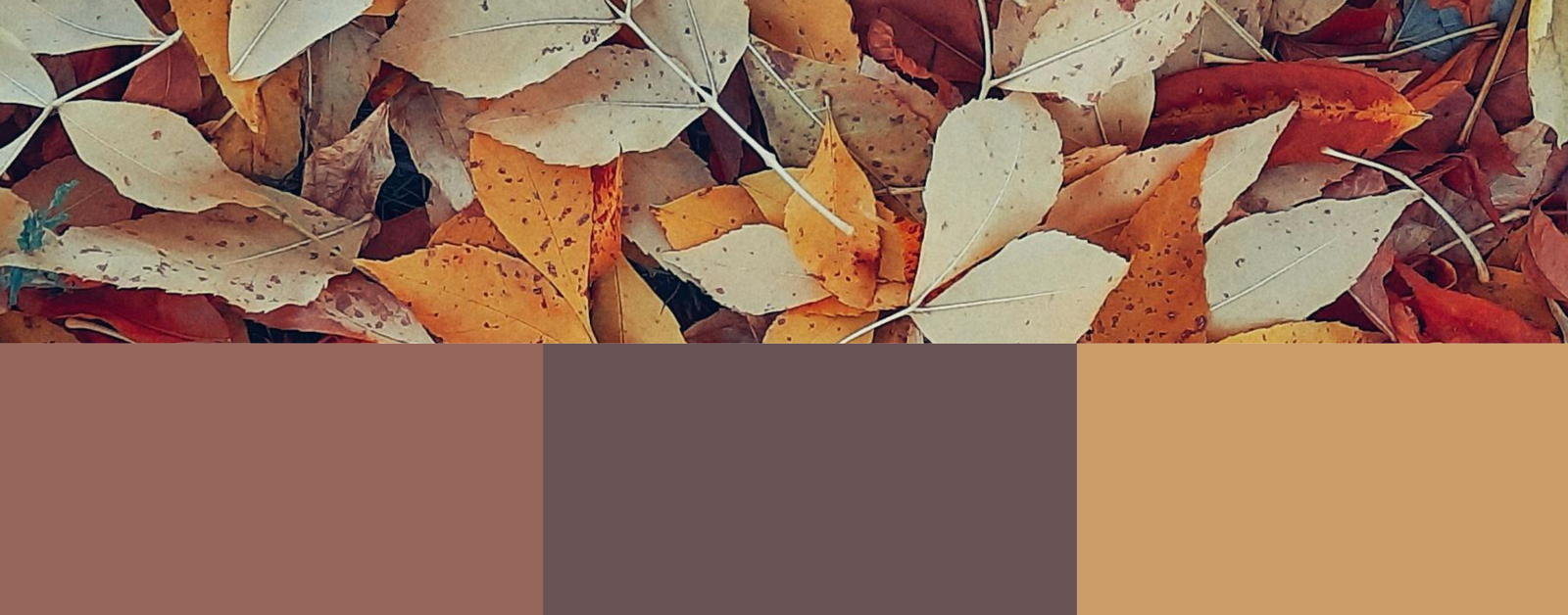 Color swatches inspired by autumn leaves with a palette of browns, oranges, and beiges.