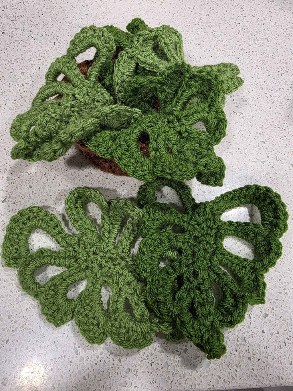 Monstera deliciosa Drink Coasters - Customizable Leaves & Pot Colors!