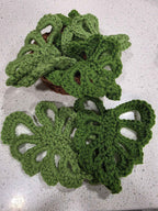 Monstera deliciosa Drink Coasters - Customizable Leaves & Pot Colors!